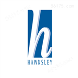 Hawksley Neuation 数字涡旋混合器