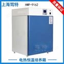 上海笃特厂家HWP-9162实验室大容积精密电热恒温培养箱 液晶显示