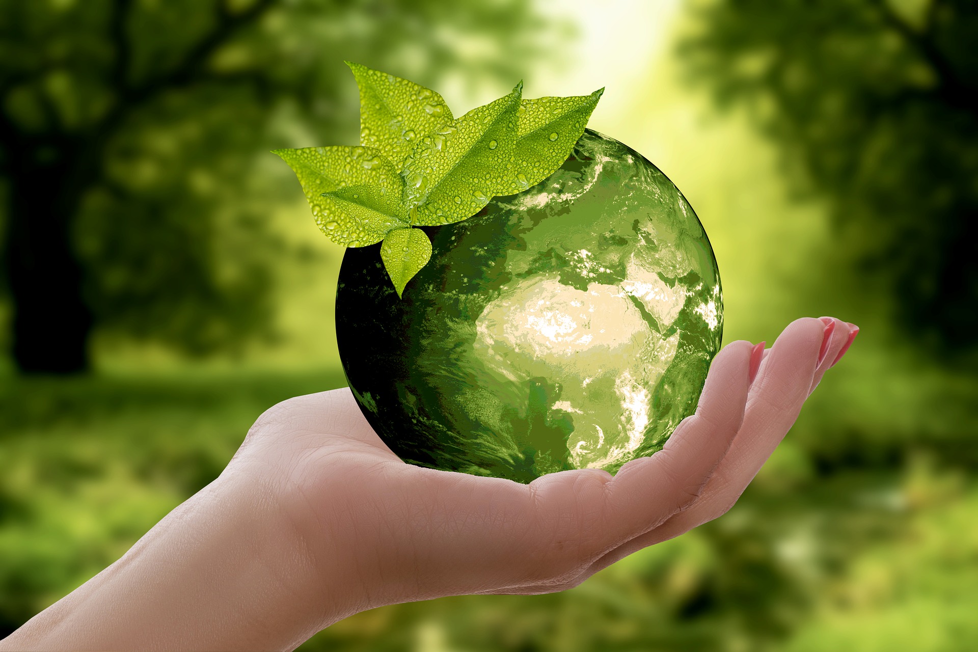 吉林省发布碳达峰实施方案 共建绿色低碳产业创新中心