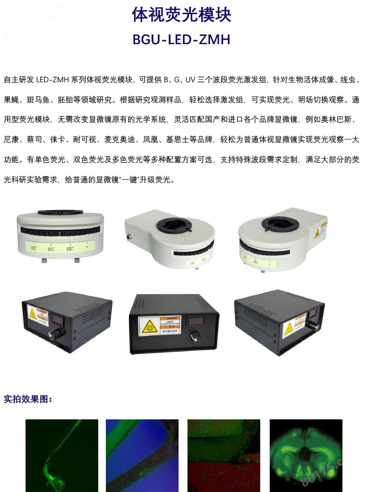 <strong>体视显微镜荧光模块BGU-LED-ZMH</strong> -荧光光源升级-广州明慧