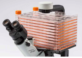 奥林巴斯倒置生物显微镜ckx53（4）