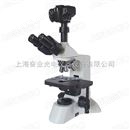 科研级倒置生物显微镜/倒置相衬显微镜/活体细胞显微镜