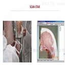 SCAN-STAR肉质眼肌面积分析系统