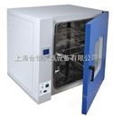 热空气消毒箱 干热灭菌烤箱 GRX-9203A