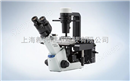 奥林巴斯生物显微镜CKX53