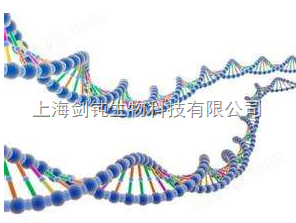全基因组重测序实验外包